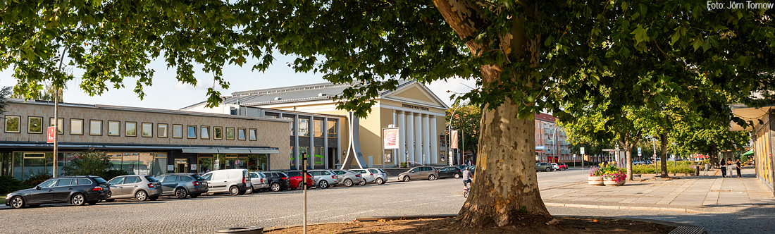 Eisenhüttenstadt Lindenallee mit Baum