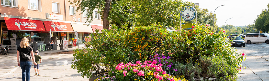 Eisenhüttenstadt Lindenallee mit Blumen